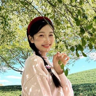 大白鲨